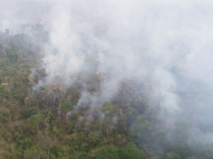 Agentes foram alvejados por disparos durante ação para combater o fogo. Ibama acredita que foi uma tentativa de homicídio por parte de madeireiros.